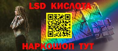 гидра Славгород