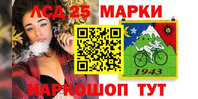 индика Сланцы