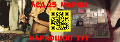 индика Сланцы