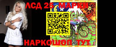 гидра Славгород