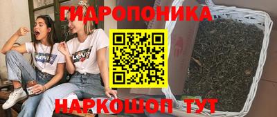 индика Сланцы