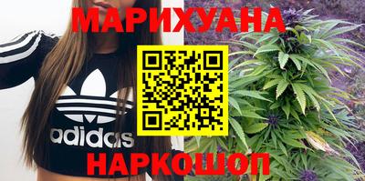 индика Сланцы