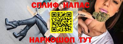гидра Славгород