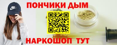 индика Сланцы