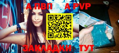 индика Сланцы
