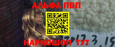 индика Сланцы
