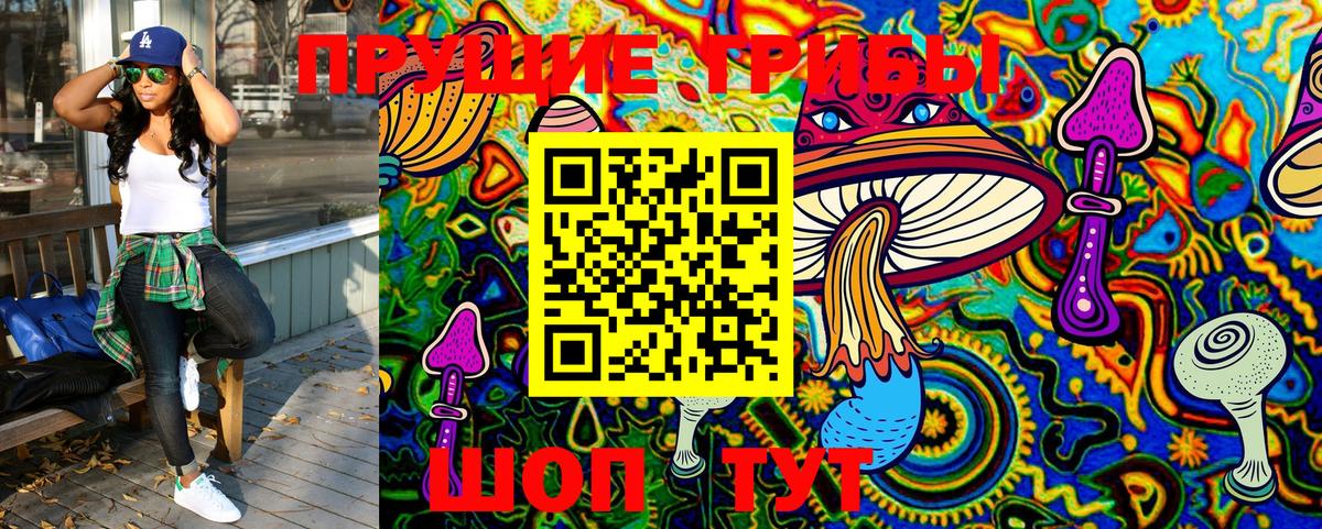 Псилоцибиновые грибы GOLDEN TEACHER  Вход с VPN  Полысаево  Псилоцибиновые грибы MAGIC MUSHROOMS 